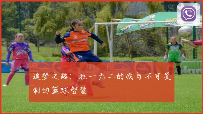 追梦之路：独一无二的我与不可复制的篮球智慧